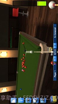 专业斯诺克2012截图5