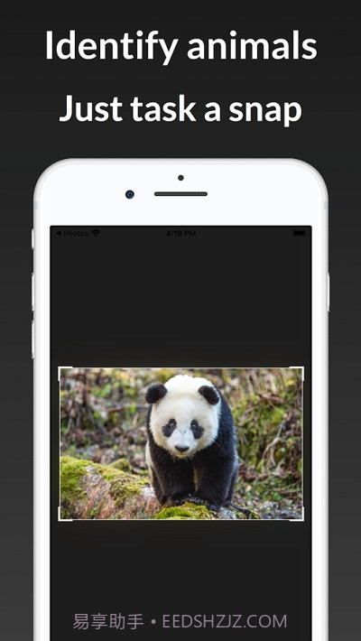 ianimal动物识别截图1 ianimal动物识别截图1