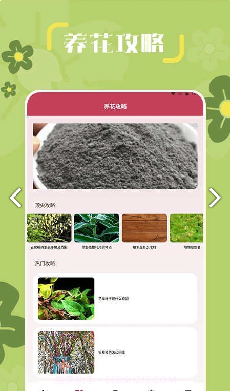 小兰君养花大师截图2 小兰君养花大师截图2