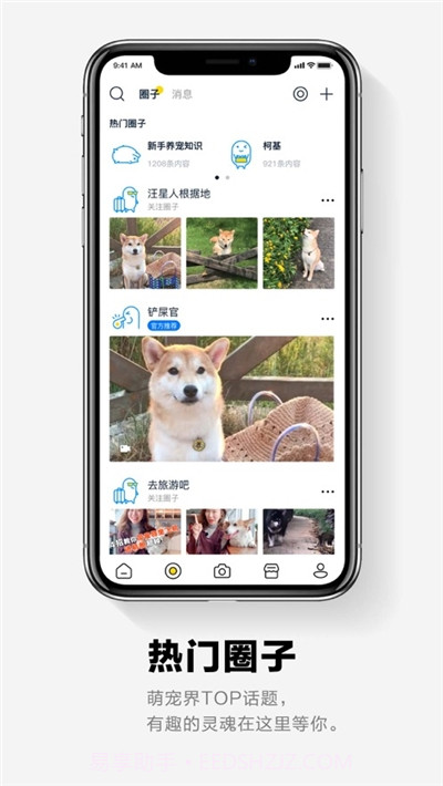 它福宠物社区截图2