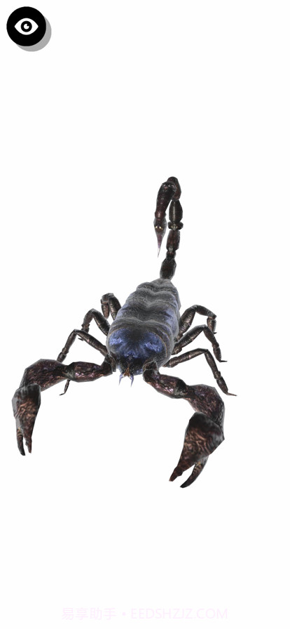 昆虫三维文件截图4