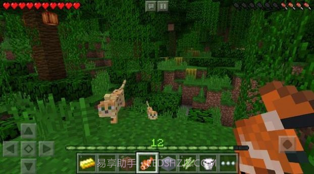 我的世界恐怖冰淇淋真人版截图3