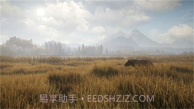 猎人：荒野的召唤正版截图1