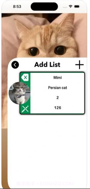 爱猫物语宠物店iOS截图1 爱猫物语宠物店iOS截图1