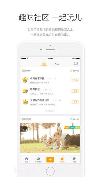 小狗在家-宠物寄养截图4
