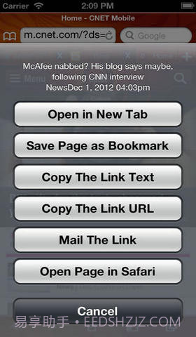 极速浏览器截图4