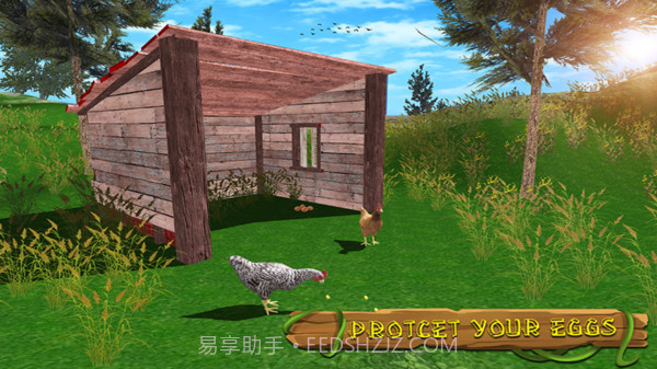 真实模拟鸡3D截图2