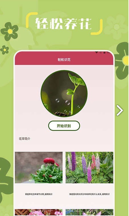 小兰君养花大师截图1 小兰君养花大师截图1