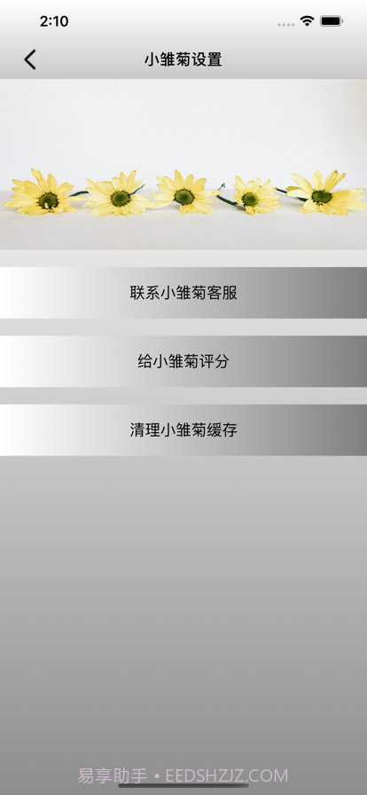 雏菊的二维世界截图2