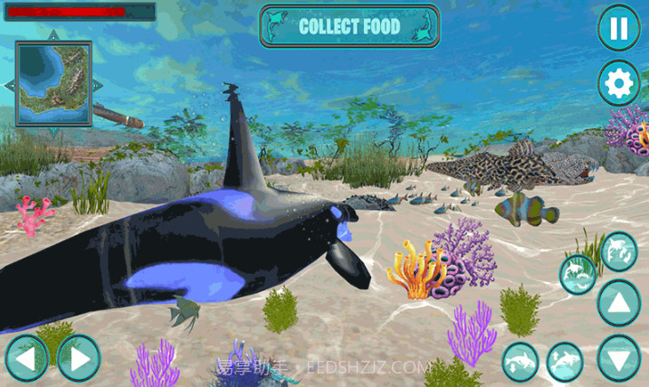 鲸鱼生存大作战截图3 鲸鱼生存大作战截图3