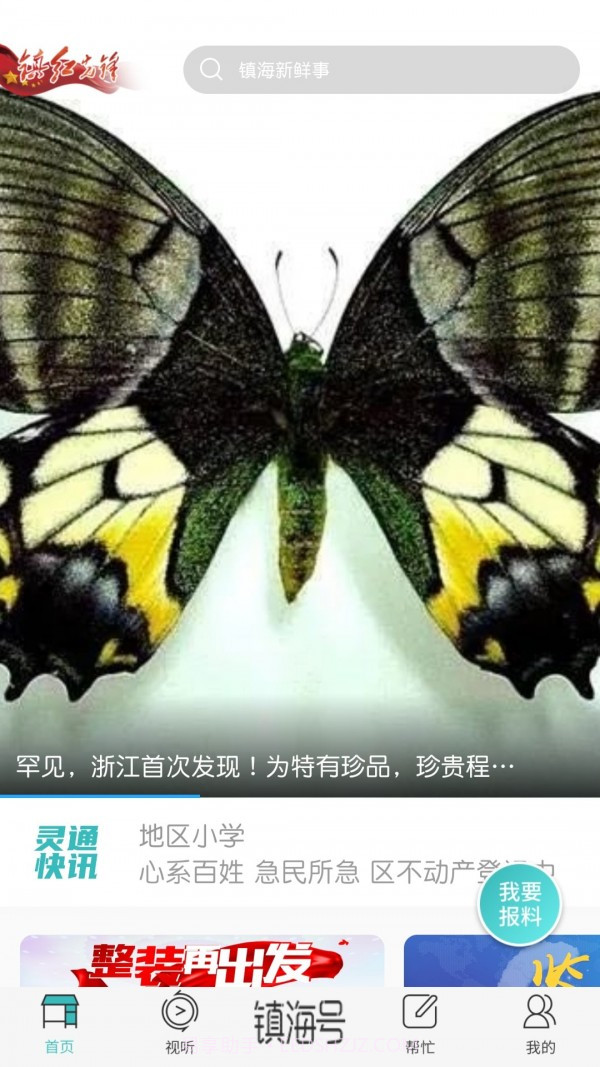 镇灵通截图1 镇灵通截图1