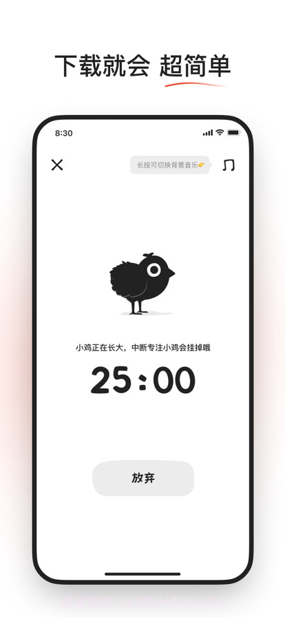 小鸡专注截图2