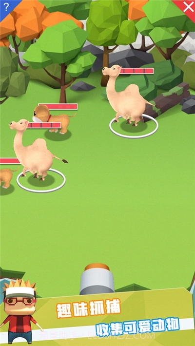 动物管理局截图1 动物管理局截图1