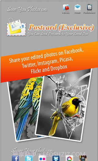 图片着色工具截图4 图片着色工具截图4