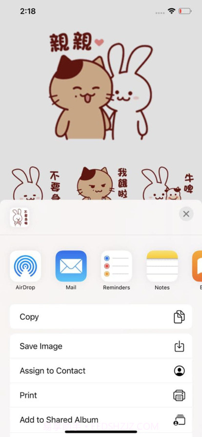 猫和兔截图2