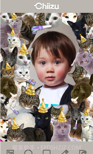 芝士先生截图5 芝士先生截图5