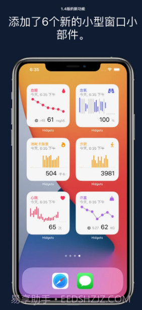 Hidgets健康小部件截图1