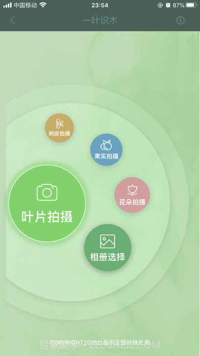 一叶识木截图1