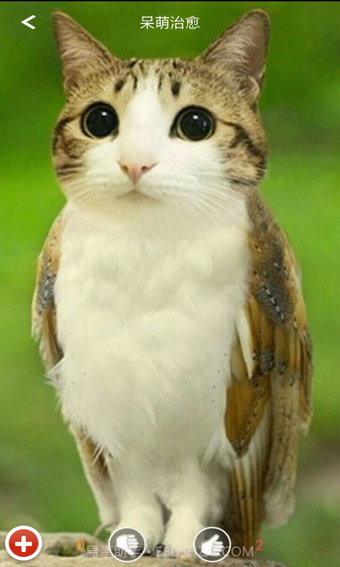 火图截图6 火图截图6