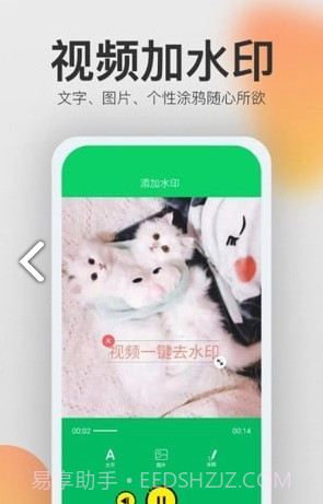 视频去水印猫截图3