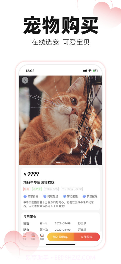 宠易得截图2