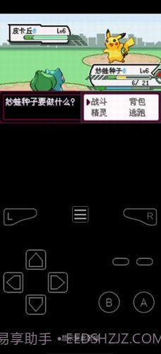 口袋妖怪最后的火红截图3