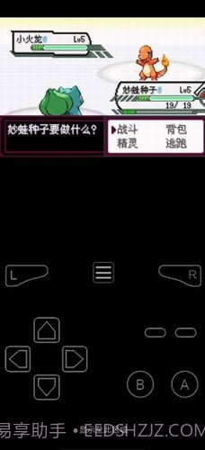 口袋妖怪最后的火红截图2