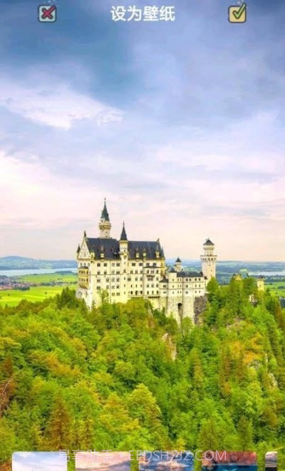 每日壁纸精选截图3