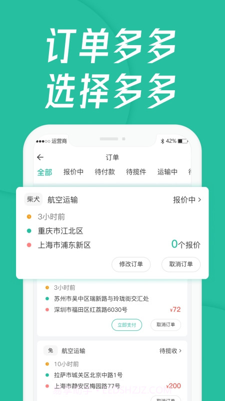 宠贝贝宠物托运平台截图2