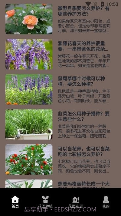 花草录植物识别截图4