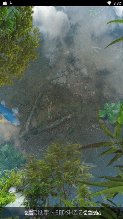 锦鲤鱼池3D动态壁纸截图4 锦鲤鱼池3D动态壁纸截图4