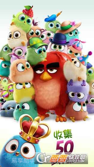 愤怒的小鸟消除大赛(AB Match)截图5