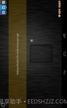 年龄扫描仪截图4