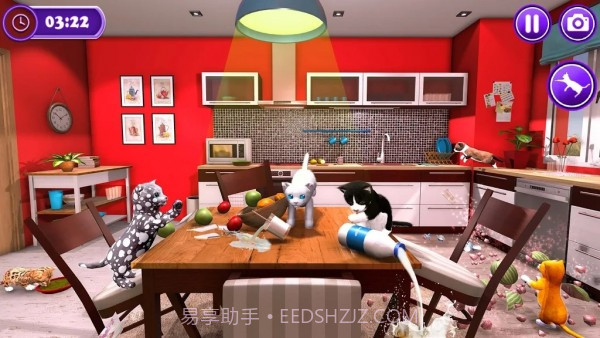 家庭冒险宠物猫截图4
