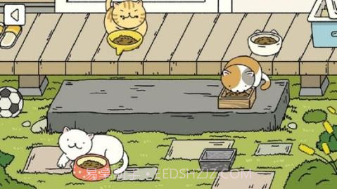 小可爱的家截图2 小可爱的家截图2