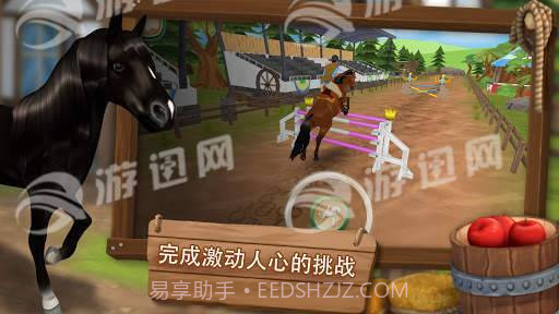 照顾马儿们截图1