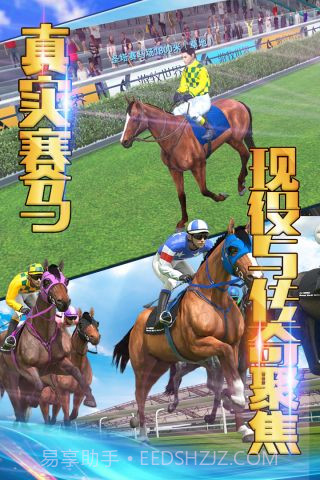 相马大师单机版截图1 相马大师单机版截图1