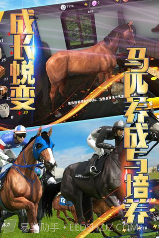 相马大师单机版截图2 相马大师单机版截图2