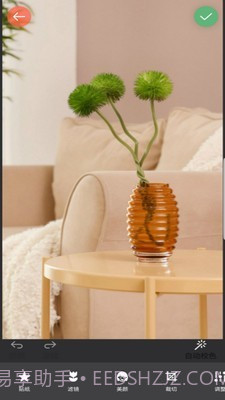 镜像相机截图3 镜像相机截图3