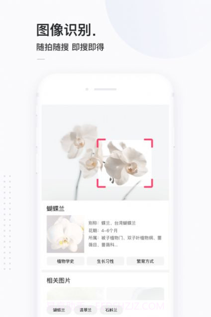 13813搜索截图2 13813搜索截图2