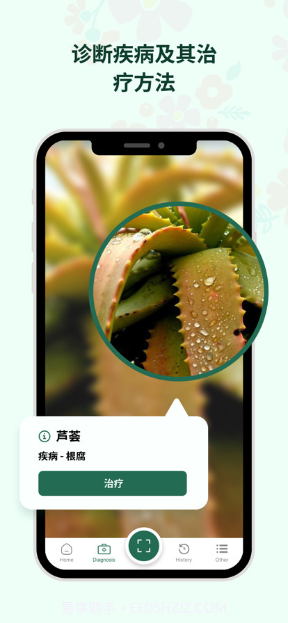 植物花形色拍照识花识别植物截图4 植物花形色拍照识花识别植物截图4