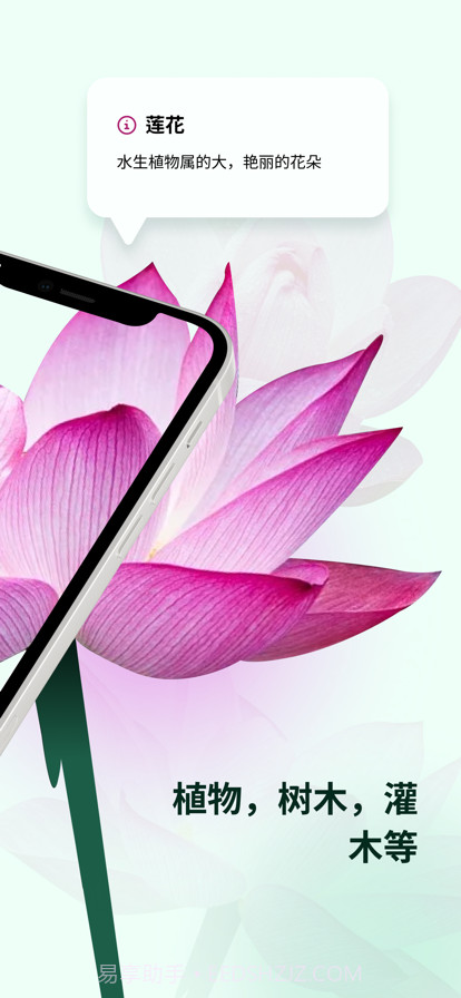 植物花形色拍照识花识别植物截图2 植物花形色拍照识花识别植物截图2