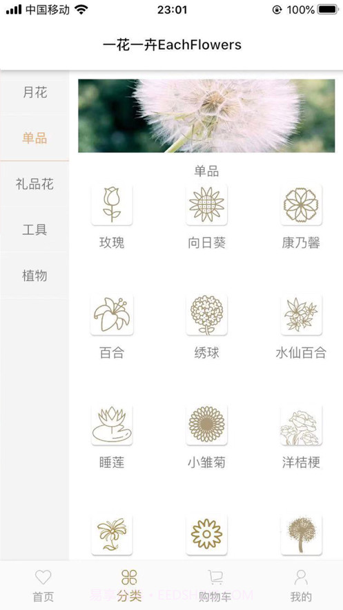 一花一卉截图2 一花一卉截图2