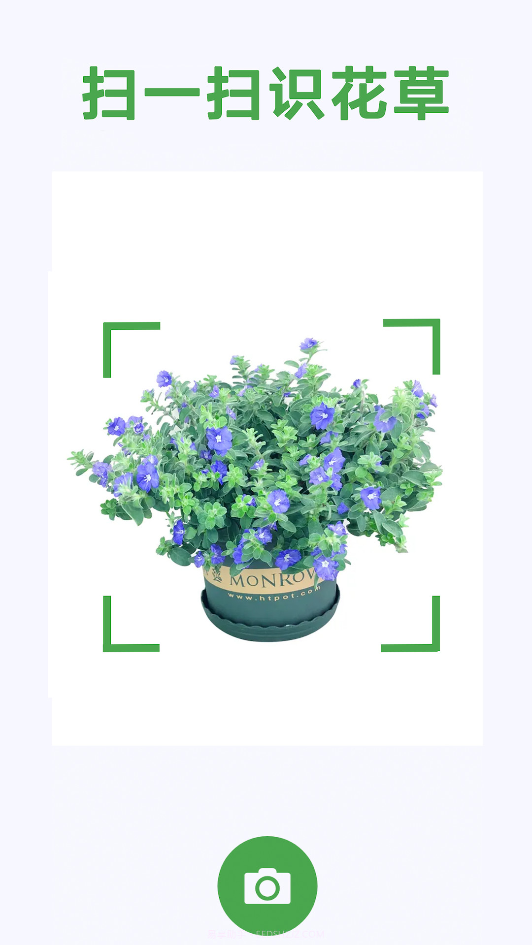 养花宝典截图2 养花宝典截图2