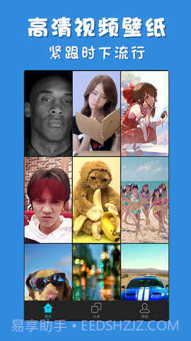 彩蛋视频壁纸会员版截图1 彩蛋视频壁纸会员版截图1