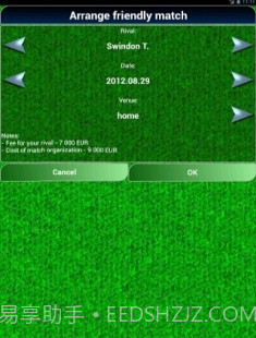 True Football National Manager截图2