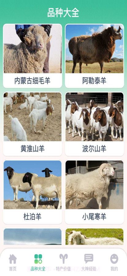 养羊指南截图3