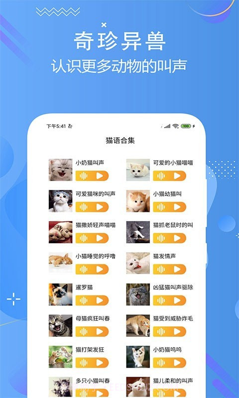 猫狗多语言交流器截图4