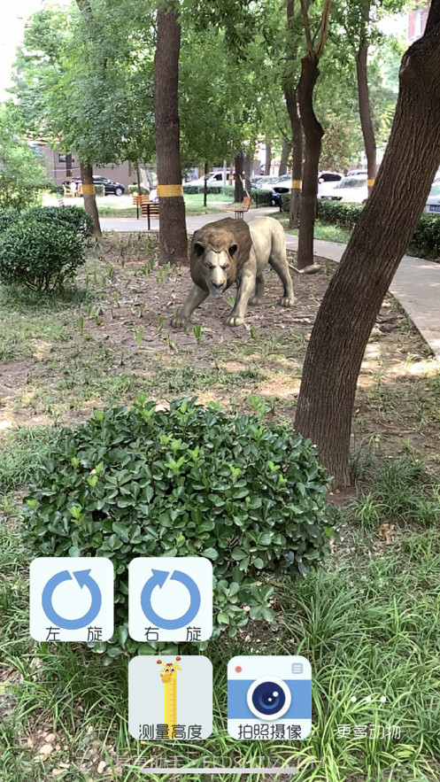 拍拍鹿截图6 拍拍鹿截图6