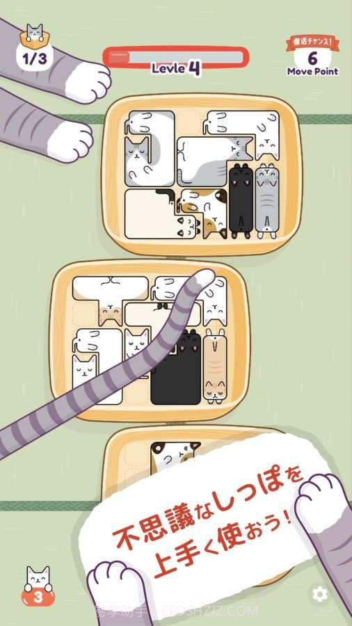 猫猫盒截图4